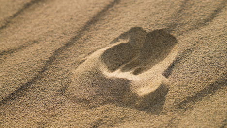 female hand catching sand from the dunes in death valley desert in eastern california, usa