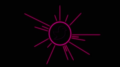 Animation-of-neon-circle-with-twitter-symbol-over-black-background