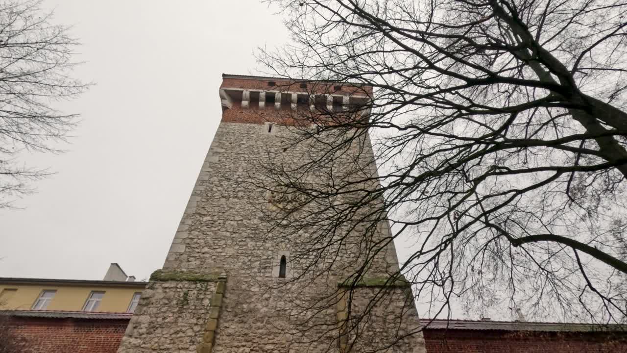 A stone tower reaches high against a cloudy sky. The surrounding trees are bare of leaves, hinting at the winter season. The atmosphere shows the city's history