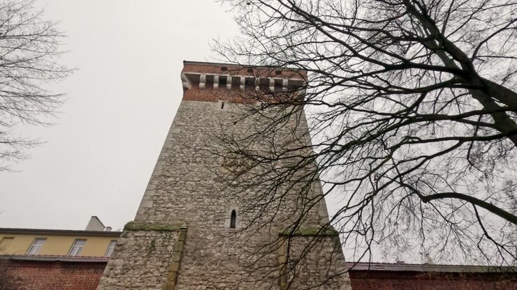 A stone tower reaches high against a cloudy sky. The surrounding trees are bare of leaves, hinting at the winter season. The atmosphere shows the city's history