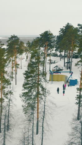 low slope covered with high thin pine trees and thick snow layer using for winter tourist entertainment aerial view