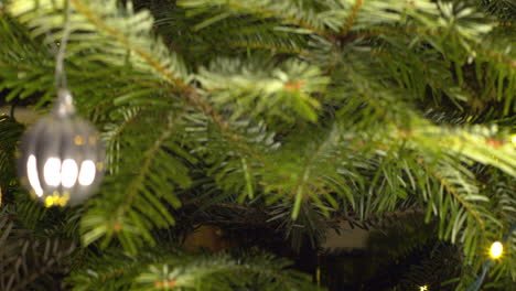 vista de cerca del árbol de navidad