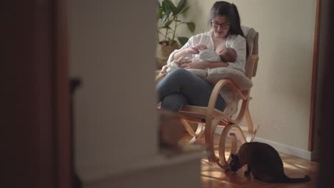 mãe amamentando recém-nascido irreconhecível em cadeira de balanço