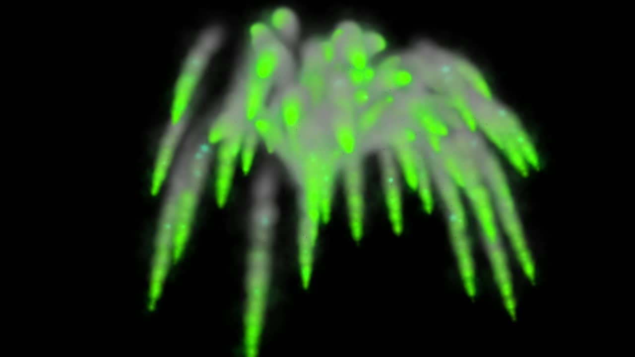 las partículas de color que soplan el humo animación gráficos de movimiento