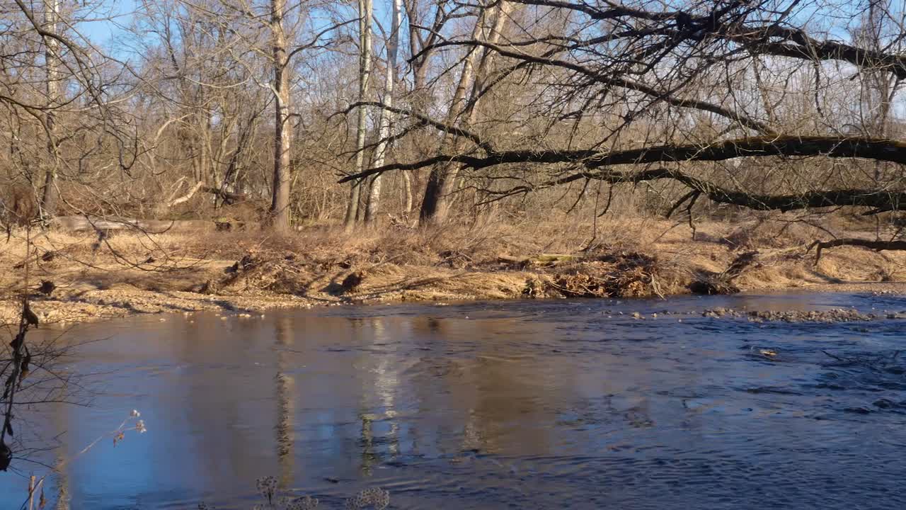 Panning shot of creek flowing in with trees