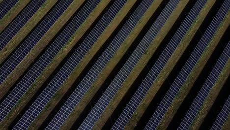 top down drone shot over solar panels in summertime