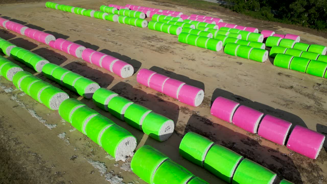 Moduli di cotone americano (Gossypium hirsutum) avvolti nella plastica con coperture codificate a colori e contrassegni di identificazione allineati su terreno agricolo vicino a Headland, nella contea di Henry, Alabama