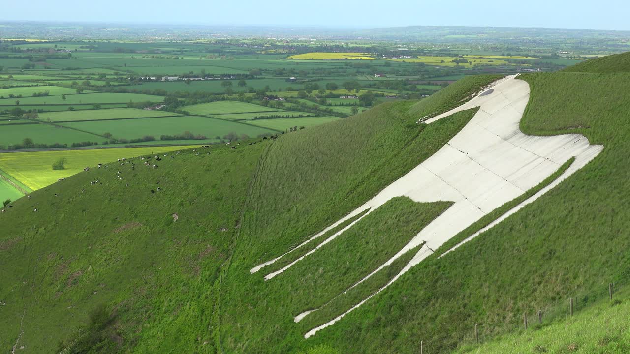 거대한 백마는 영국 웨스트베리의 랜드마크입니다.