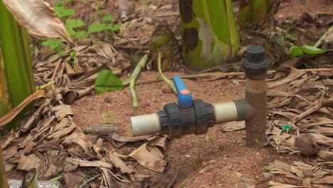 man in slippers washing hands in a deep tube well placed in a farmland to prevent coronavirus