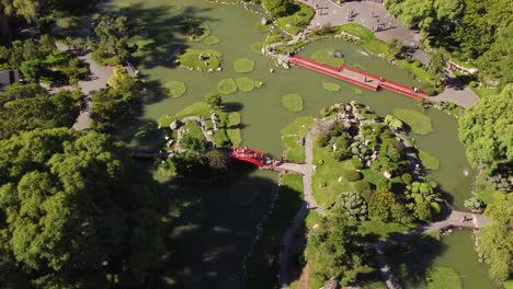 drone flight over jardin japones, japanese garden park in buenos aires - people crossing bridge above lake and enjoying beautiful nature at sunny day