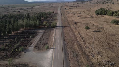 toma aérea de una calle vacía con un árbol y un paisaje al costado de la carretera en israel, altos del golán