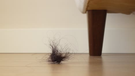 a clump of hair on a wooden floor