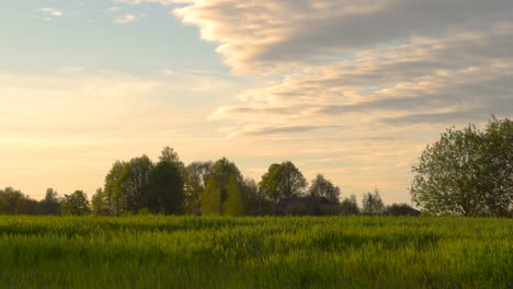 Idyllic-countryside-landscape-with-green-meadow-and-cloudy-evening-sky