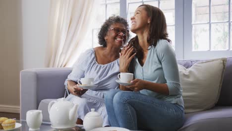 senior mixed race woman drinking tea with her daughter in social distancing