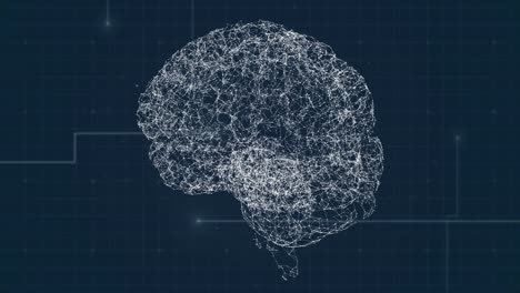 animación del cerebro humano con una red de conexión sobre la rejilla