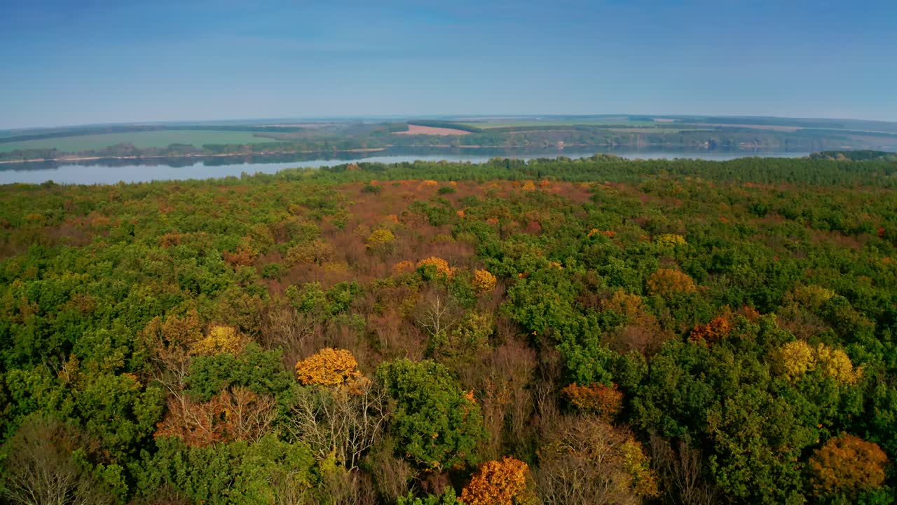 Amazing forest on river background. Magical trees with bright colors of woodland. Autumn landscape in sunny day. Aerial view.
