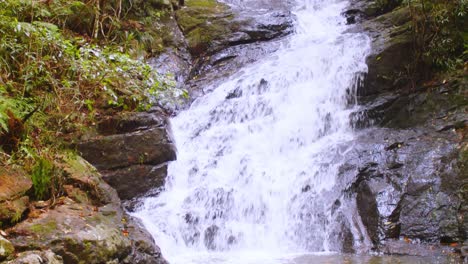 Un-Entorno-Pintoresco-De-Selva-Tropical-En-La-Base-De-Una-Pequeña-Cascada