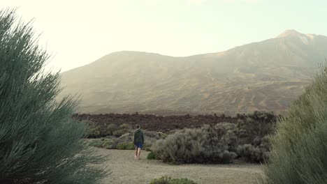 Hombre-Irreconocible-Caminando-Hacia-El-Volcán-Del-Parque-Nacional-Del-Teide