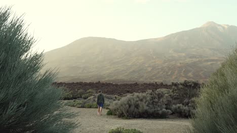 Unerkennbarer-Mann,-Der-Auf-Den-Vulkan-Des-Teide-Nationalparks-Zuläuft