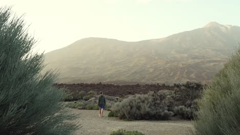 hombre irreconocible caminando hacia el volcán del parque nacional del teide