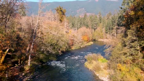 drone shot over river in autumn