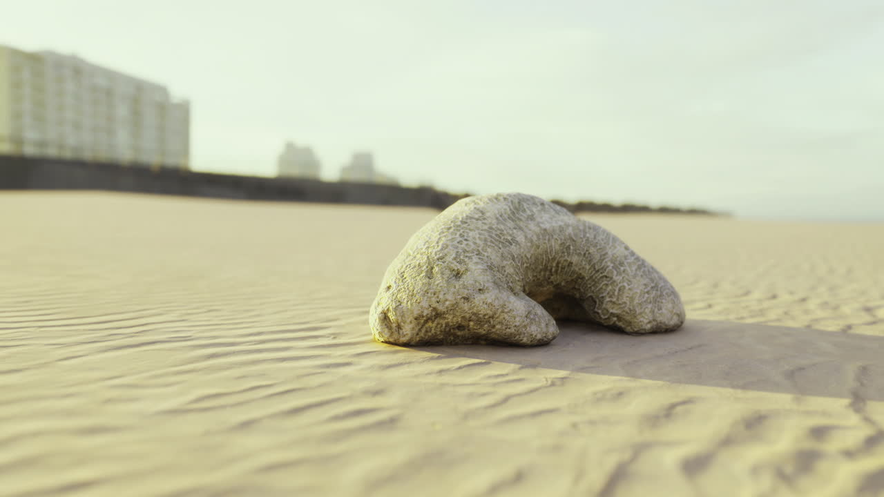 Unique rock formation resting on sandy beach during a serene afternoon