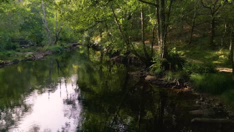 Lago-Prístino-Con-Reflejos-En-Refugio-De-Verdes,-A-Coruña,-España