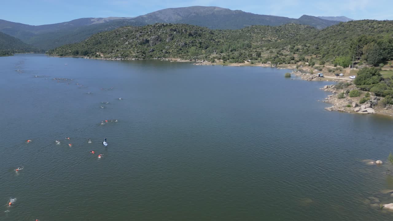 Impressive side drone shot of an endurance swimming competition in which a large number of participants swim, many of them with colored buoys
