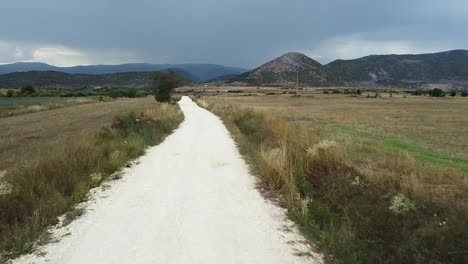 Volando-Sobre-Un-Camino-Entre-Campos-De-Cultivo