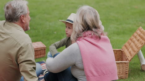 family enjoying a picnic outdoors
