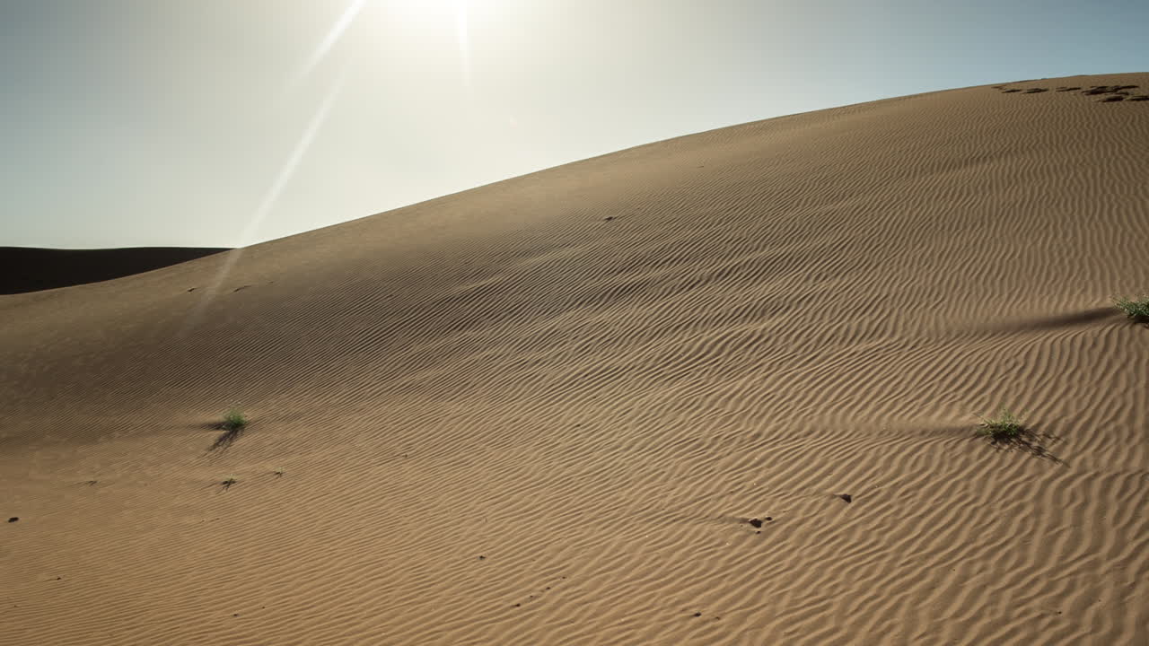 메르주가 사하라 사막 13
