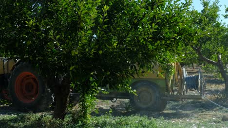 Adult-Man-sprays-trees