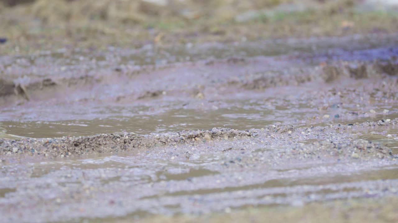 진흙 투성이의 도로에서 운전하는 트랙터 타이어 닫습니다
