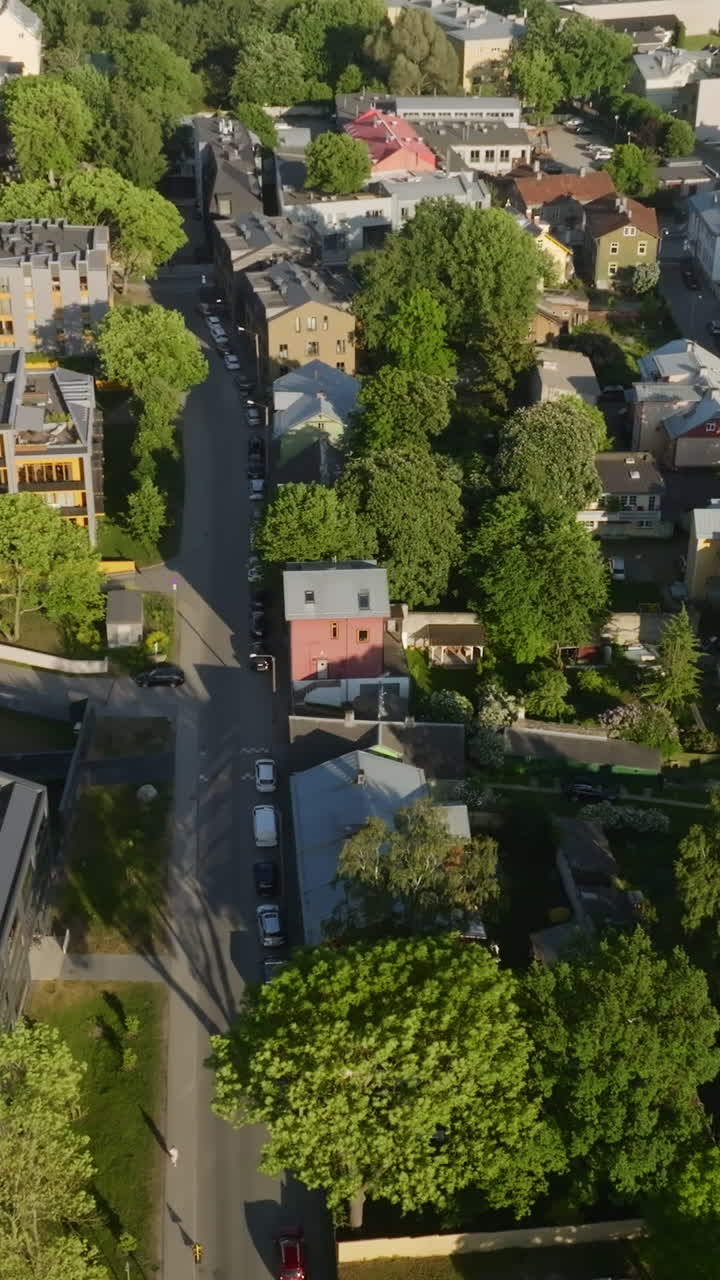 Ripresa verticale con drone di case estoni a Kalamaja, Tallinn, in una giornata estiva