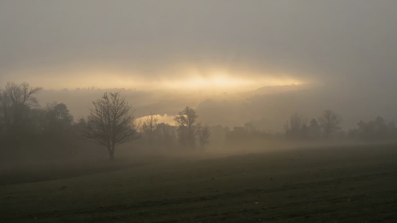 Rising sunlit opening pushing fog across rural meadow as dawn brightens, revealing pond near tree