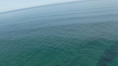 Aerial-View-Follow-The-Seagull-At-Ocean