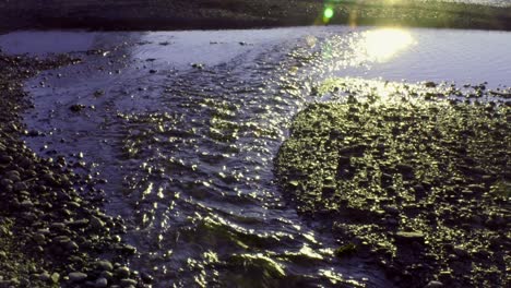 Pequeño-Arroyo-Que-Fluye-Sobre-Piedras-En-Una-Puesta-De-Sol-Muy-Fresca