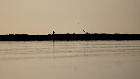 silhouette of people fishing at sunset