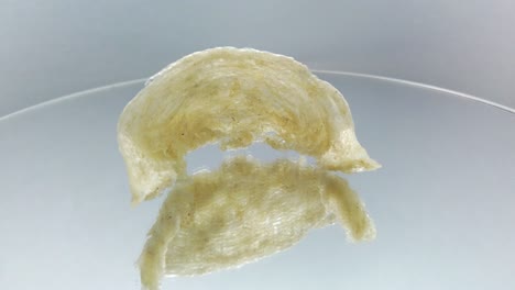 高品質的白色可食用鳥巢產品影片