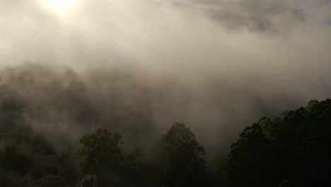 Aerial-timelapse-showing-fog-moving-above-forestry