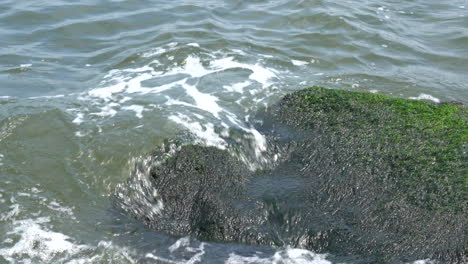 Ocean-waves-rolling-over-the-seaweed-covered-rocks-at-the-shore