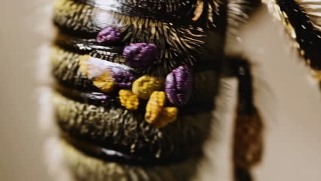 close-up of a bee's body carrying colorful pollen