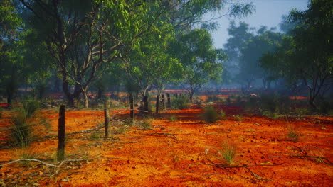 Fragmento-De-Una-Antigua-Valla-Con-Alambre-De-Púas-Oxidado