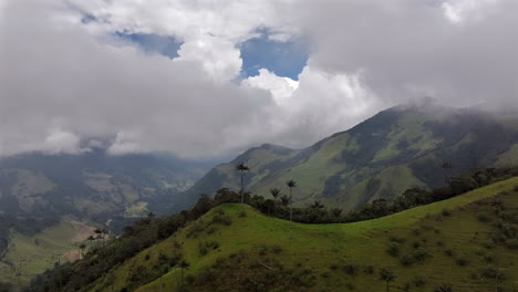 breathtaking cocora valley landscape in colombia