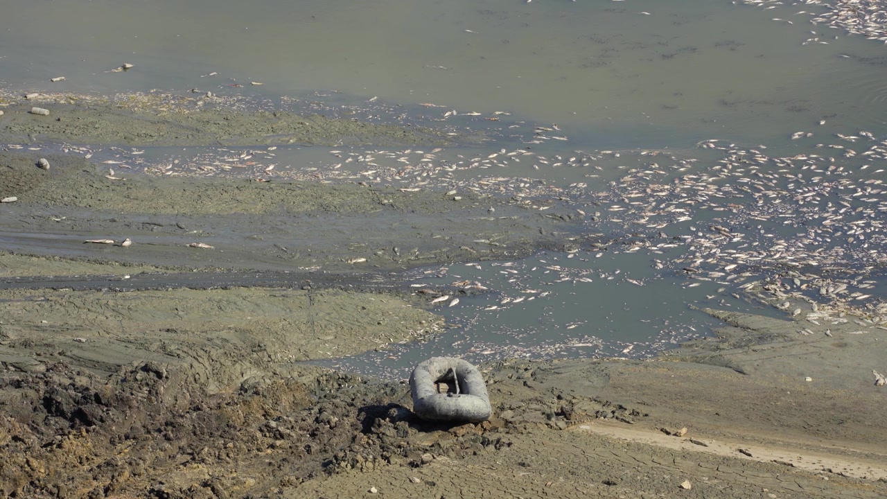Mud on reservoir bottom displaying final stages of severe water shortage, dead fish near boat