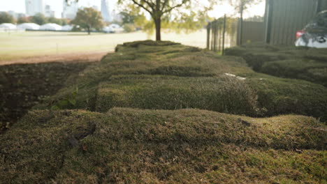 Freshly-cut-turf-sod-grass-waiting-to-be-laid-and-installed-in-grassy-area