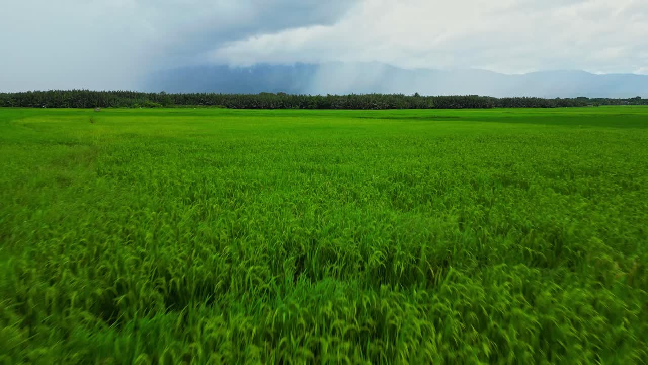 Aerial forward shot glides over green paddies, gradually unveiling a tranquil countryside framed by trees and cloudy mountain peaks