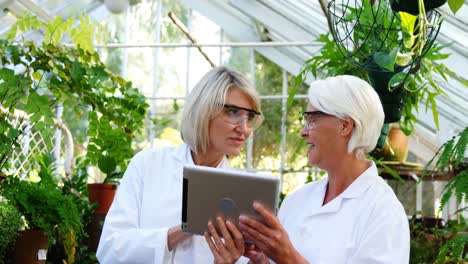 female scientists using digital tablet