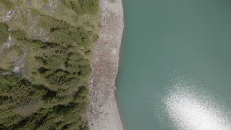 Paso-Elevado-De-Arriba-Hacia-Abajo-Que-Muestra-La-Costa-Rocosa-Del-Oeschinensee-Con-Un-Bosque-De-Pinos-Y-Abetos-A-Su-Lado