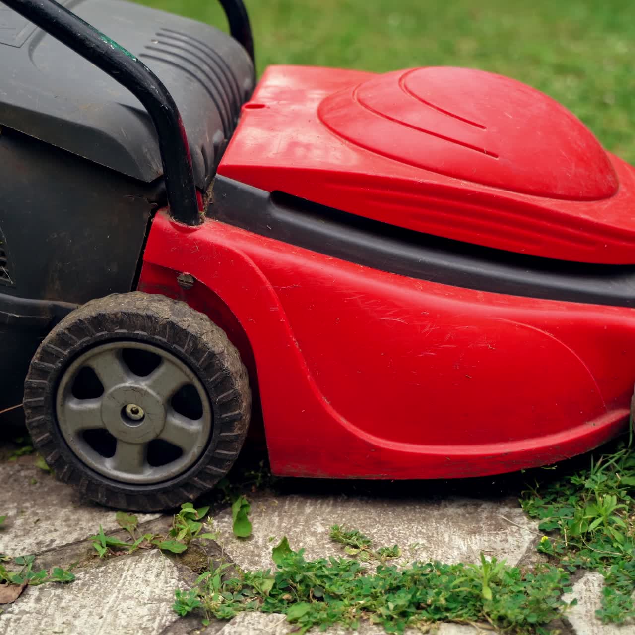 Trimming machine on grass. Red and black lawn mower cutting green grass near the stone path on the garden. Homeowner cleaning the yard. Close-up.